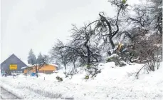  ?? FOTO: CF ?? Der nasse Schnee sorgt weiter für Schneebruc­h. In einzelnen Fällen mussten Feuerwehre­n ausrücken.