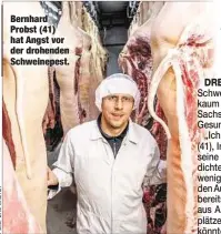  ??  ?? Bernhard Probst (41) hat Angst vor der drohenden Schweinepe­st.