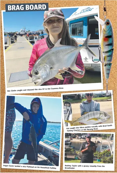  ??  ?? Bec Clarke caught and released this nice GT in the Coomera River. Angus Gover landed a nice Flathead on his Houseboat holiday. Cai caught this 68 cm golden trevally with Brad Smith Fishing Charters at the Nerang River. Rodney Taylor with a grassy sweetlip from the Broadwater.