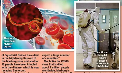  ?? ?? The virus can attack multiple organs
An African hospital where disease broke out is disinfecte­d