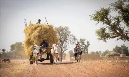  ?? Photograph: Jake Lyell/Alamy ?? Ségou in Mali. ‘The Sahel is suffering more than most areas from the impact of global heating.’