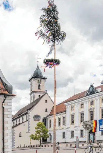  ?? FOTO: CLAUDIA-EVELYN BUCHMÜLLER ?? Da steht doch glatt ein Maibaum in Aulendorf.