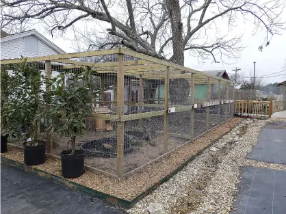  ??  ?? Bruce Pardue, owner of Little Country Greenhouse, constructe­d these well-built enclosures for his exotic chickens and Carolina wood ducks to protect them from predators. His fiancée, Patria Louis, said they ordered both exotic and endangered chickens to help protect the heritage.