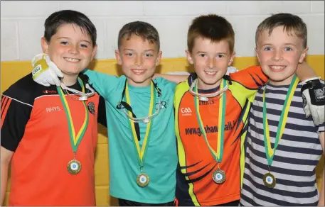  ??  ?? Future handball stars from Glenbeigh. Rhys Murphy, Darragh O’Connor, Aidan Sheehan and Liam O’Connor. Photo by Con Dennehy