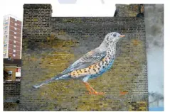  ??  ?? Above Mistle Thrush in Greenwich as part of a campaign against councils selling off public land for developmen­t