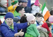  ??  ?? Mary Buckley, Rathcoole, flying the flag at the Millstreet parade.