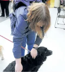  ?? POSTMEDIA NETWORK FILES ?? A family dog may be a baby’s best friend for avoiding allergies and becoming obese later in life, a new study suggests.