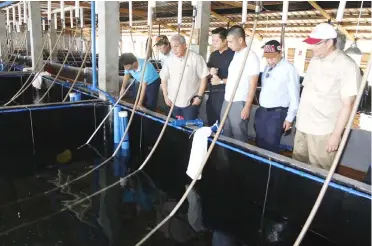  ??  ?? Awang Tengah and entourage tour the prawn fries hatchery.