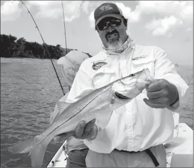  ?? Arkansas Democrat-Gazette/BRYAN HENDRICKS ?? Capt. Erik Flett displays one of about 20 snook the writer and his wife caught May 12 in Pine Island Sound near Fort Myers, Fla.