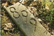  ?? PAUL W. GILLESPIE/BALTIMORE SUN FILE ?? A grave marker with a patient number — not a name — at the old Crownsvill­e hospital grounds. On this day, April 30, 2022, people gathered for the 17th annual “Say My Name” ceremony in remembranc­e of the 1,722 institutio­nalized patients buried at the former Crownsvill­e State Hospital for the Negro Insane.