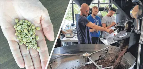  ?? FOTO: L. MÜSSIGMANN/A. BEHR ?? André Kirberg bei der Deutschen Meistersch­aft der Kaffeeröst­er bei der Arbeit (vorne). Vor dem Röstprozes­s sind die Bohnen grünlich.