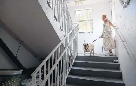  ?? AMY BETH BENNETT/STAFF PHOTOGRAPH­ER ?? Nancy Biglin, 84, and her 14-year-old pug, Tootsie, take a break on a landing on their way back up to their fourth floor apartment at Praxis Senior Living Community in Deerfield Beach on Tuesday. The community has no power, so the elevators don’t work.