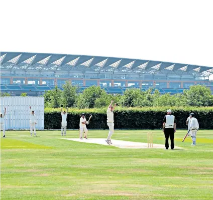  ??  ?? Grand setting: Royal Ascot Cricket Club has a spectacula­r backdrop (above), shared also by Ascot United’s director of football Neil Richards (near left) and director Doug Page