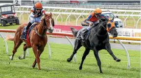  ?? RACE IMAGES SI ?? Noverre, inner, holds out Field Of Gold at Riccarton yesterday.