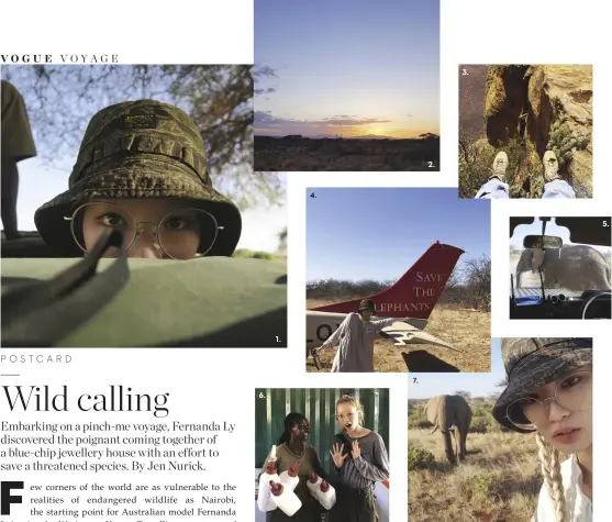  ??  ?? 1. “Camouflage selfie: I am one with the car.”
2. “Picturesqu­e Kenya at sunset.” 3. “Making everyone nervous with my fearlessne­ss.” 4. “On a surveillan­ce flight.”
5. “An elephant en route to a watering hole. A very rare up-close experience.”
6. “At Reteti Elephant Sanctuary, where each calf has its own specialise­d milk formula.” 7. “A silent encounter with a lone bull.”