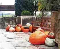  ??  ?? More than just a winery, Round Pond Estate also has organic gardens, olive orchards, an olive mill, honeybee hives and a vinegar shed.