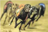  ??  ?? On the run: Shelbourne Park staged 200 race meetings last year