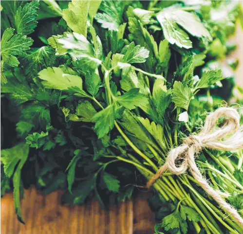  ?? ?? The health benefits of fresh young parsley leaves have been known for centuries.