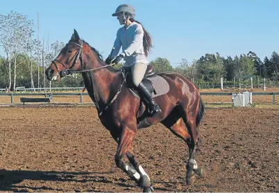  ??  ?? LA CANTIDAD DE CABALLO FEDERADOS PASO DE 3.328 EN 2010 A 3.905 EN 2015, UN CRECIMIENT­O DEL 18%.