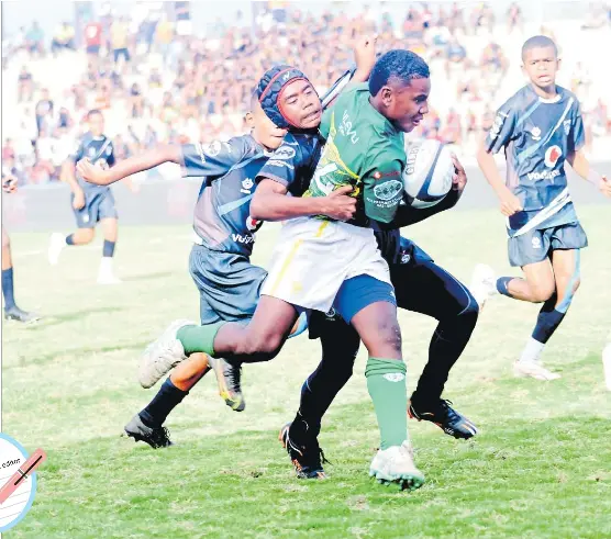 No guts, no glory - PressReader