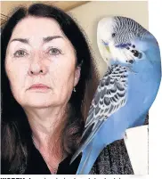  ??  ?? WORRY Anne is missing her stolen budgies