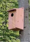  ?? Allan Welby / Contribute­d photo ?? Through two grants from the Ridgefield Thrift Shop, the Ridgefield Conservati­on Commission has installed a new bird feeding station in Richardson Park as well as a dozen screech owl nest boxes.