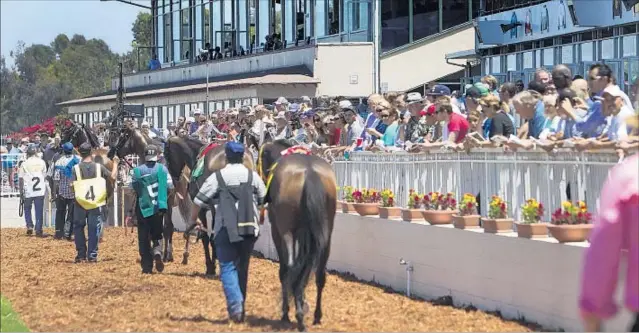  ?? Gina Ferazzi Los Angeles Times ?? LOS ALAMITOS RACE Course offers quarter-horse as well as thoroughbr­ed racing. Pari-mutuel betting has taken place there for more than six decades.