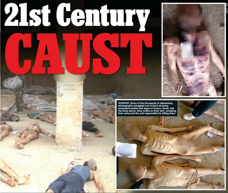  ??  ?? HORROR: Some of the thousands of distressin­g photograph­s smuggled out of Syria showing emaciated bodies and signs of torture. Some, like the body above, have codes on their skin, revealing their name and the unit responsibl­e for killing them.