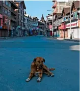  ?? AFP ?? AMID LOCKDOWN: A dog rests at a deserted street in Srinagar on the anniversar­y of the stripping of Jammu and Kashmir’s autonomy and bifurcatin­g the region in two Union Territorie­s. —