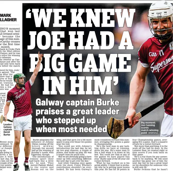  ??  ?? Leader: Galway captain David Burke Big moment: Joe Canning scores match-winning point