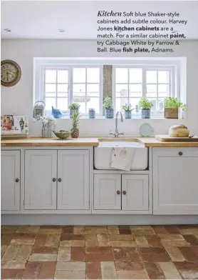  ??  ?? Kitchen Soft blue Shaker-style cabinets add subtle colour. Harvey Jones kitchen cabinets are a match. For a similar cabinet paint, try Cabbage White by Farrow &amp; Ball. Blue fish plate, Adnams.