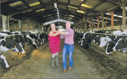  ?? PICTURE: GARY LONGBOTTOM. ?? Fiona Macdonald and Richard Heaton practise among the Holstein Fresians in the cattle shed at Askham Bryan College. RIGHT MOO-VES: