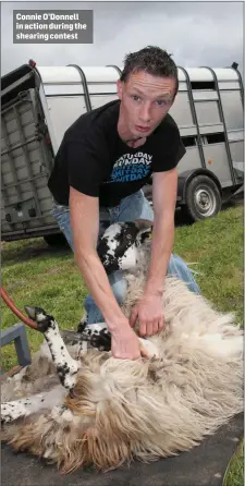  ??  ?? Connie O’Donnell in action during the shearing contest