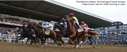  ?? ?? The Belmont Stakes, the final leg of horse racing’s Triple Crown, saw its 155th running in June.