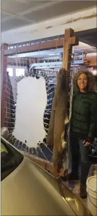  ?? RABBI RUBENSTEIN PHOTO ?? Rabbi Motzkin:”I get donations of deer skins fresh off the deer from Adirondack hunters and with the help of volunteers, I flesh the skins, remove the hair, soak them and stretch them on high stretching frames in my garage.