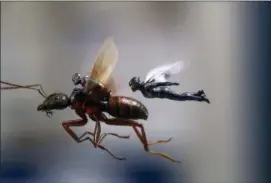  ?? DISNEY — MARVEL STUDIOS VIA AP ?? This image released by Marvel Studios shows a scene from “Ant-Man and the Wasp.”