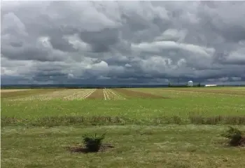  ?? (photo by Larissa Kurz) ?? A large thundersto­rm brewing over the prairie could bring with it a number of dangerous weather conditions.