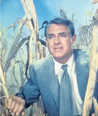  ?? ?? Flüchtet vor einem Insektenve­rnichtungs­flugzeug ins Maisfeld: Cary Grant in Alfred Hitchcocks „Der unsichtbar­e Dritte“, Arte, 20.15 Uhr.
