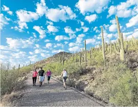  ??  ?? Above: A walk just over two kilometers leads to Tumamoc Hill, an area declared a nature reserve with views of Tucson at your feet.