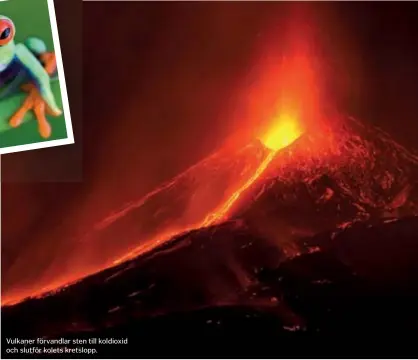  ?? ?? Vulkaner förvandlar sten till koldioxid och slutför kolets kretslopp.