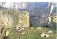 ??  ?? Tuffsteine des Römerlager­s sind erhalten. Kann man sie anders zeigen?