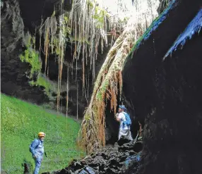  ?? (Catharine Hamm/Los Angeles Times/TNS) ?? MEMBERS OF a veterans retreat group look to a skylight, a little more than a kilometer into the 65-kilometer-long-long lava tube in Pahoa on Hawaii Island, through which roots from an ohia tree have found their way.