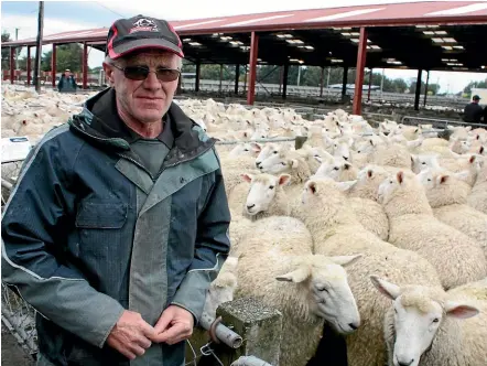 ??  ?? Graeme Anderson, of Wrights Bush, achieved the highest price of $314 for a line of Border Leicester cross two-tooth ewes. PHOTO: DIANE BISHOP