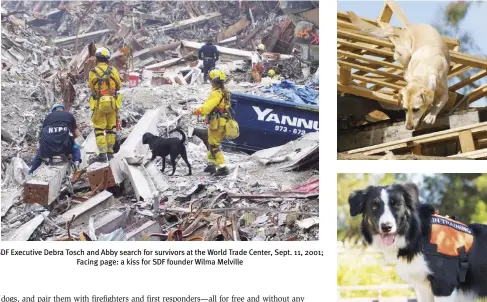  ?? ?? SDF Executive Debra Tosch and Abby search for survivors at the World Trade Center, Sept. 11, 2001;
Facing page: a kiss for SDF founder Wilma Melville