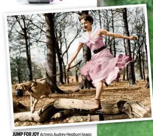  ??  ?? JUMP FOR JOY Actress Audrey Hepburn leaps over a log with her dog in Richmond Park on 13 May 1950, after appearing with Norman Wisdom in the London revue Sauce Piquante