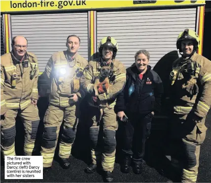  ??  ?? The fire crew pictured with Darcy; (left) Darcy (centre) is reunited with her sisters