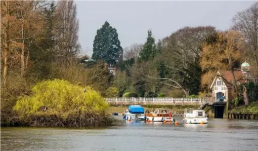  ??  ?? Ham is surrounded by green space with walks along the Thames Path (Alex Lentati)