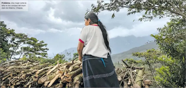  ?? EL PAÍS ?? Problema. Una mujer corta la leña en los campos del municipio de Aldama, Chiapas.