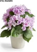  ?? ?? Artificial potted purple hydrangea, £15, Dunelm