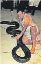  ?? Picture: Supplied ?? CATCH. Nick Evans after capturing the python.